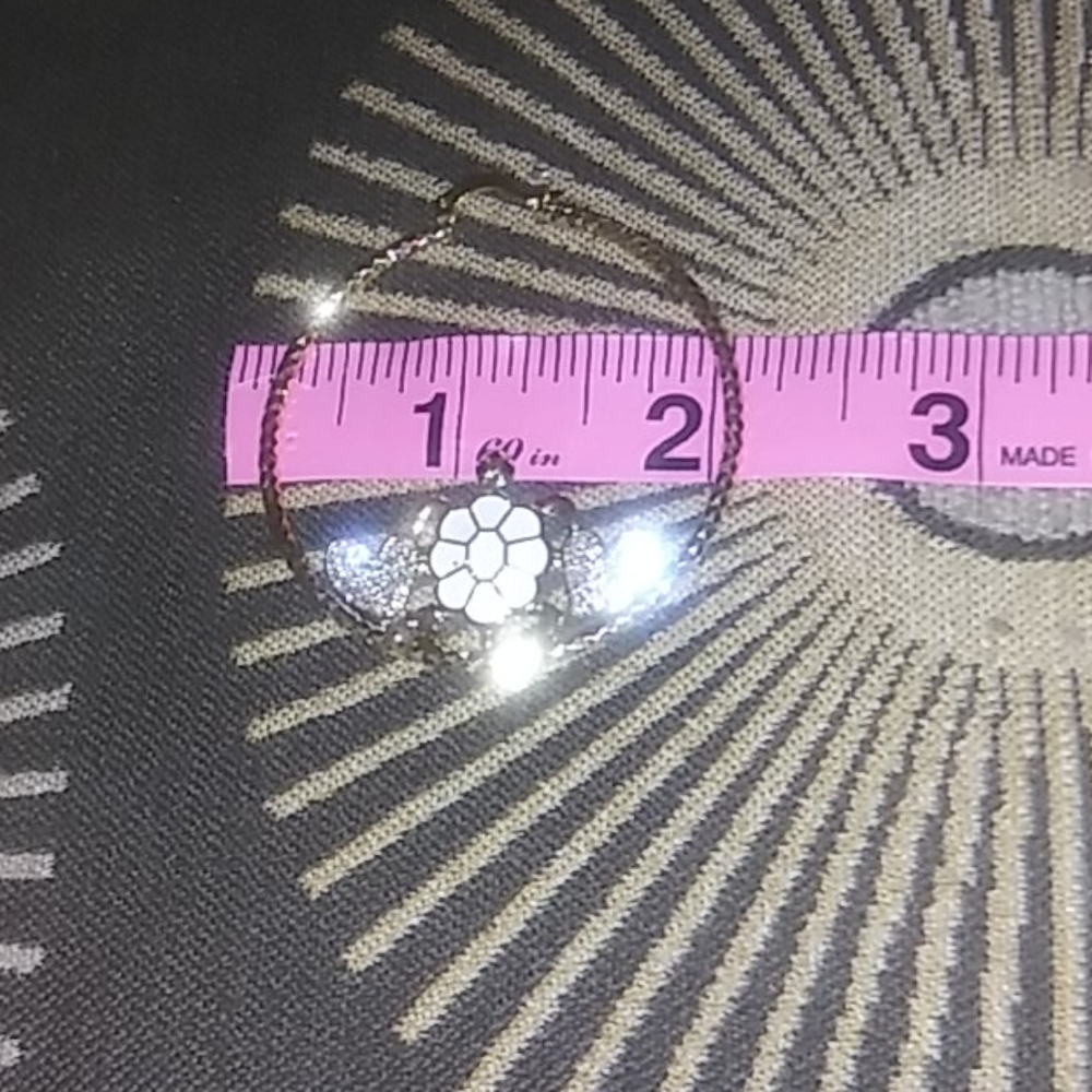 Turtles earring with heart